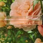 عطر ادکلن تودِی تومارو آلویس واندر اِی‌وون - Today Tomorrow Always Wonder Avon - بررسی، قیمت و خرید