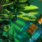 عطر ادکلن عود زنگبار بلند عود - Oud Zanzibar Blend Oud - بررسی، قیمت و خرید