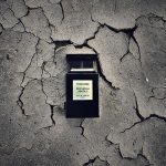 عطر ادکلن پچولی ابسولو تام فورد - Patchouli Absolu Tom Ford - بررسی، قیمت و خرید