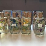 عطر ادکلن بل دو گرسه فراگونارد - Belle de Grasse Fragonard - بررسی، قیمت و خرید