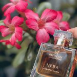 عطر ادکلن هرا پاپیون آرتیسان پرفیوم - Hera Papillon Artisan Perfumes - بررسی، قیمت و خرید