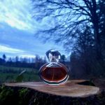 عطر ادکلن تومارو ایون - Tomorrow Avon - بررسی، قیمت و خرید