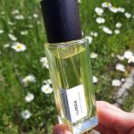 عطر ادکلن لوررا ماتکا - Lurra MATCA - بررسی، قیمت و خرید