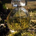 عطر ادکلن بیوتی کلوین کلاین - Beauty Calvin Klein - بررسی، قیمت و خرید