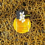 عطر ادکلن لا کالکشن پور هوم ایو سن لوران - La Collection Pour Homme Yves Saint Laurent - بررسی، قیمت و خرید