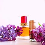 عطر ادکلن آنجلِکی آنجلوس کریاسیونس اولفکتیو - Angeliki Angelos Créations Olfactives - بررسی، قیمت و خرید