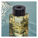 عطر ادکلن ایلوژِن فور هیم بوتگا ونتا - Illusione for Him Bottega Veneta - بررسی، قیمت و خرید