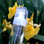 عطر ادکلن آیریس گری فره موند - Iris Gray Frais Monde - بررسی، قیمت و خرید