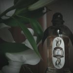 عطر ادکلن لیلی اند اسپایس پنهالیگانز - Lily & Spice Penhaligon's - بررسی، قیمت و خرید