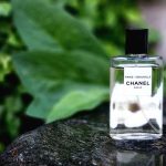 عطر ادکلن پاریس دوویل شانل - Paris – Deauville Chanel - بررسی، قیمت و خرید