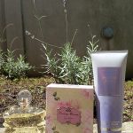 عطر ادکلن فرش کات لیلاک بث اند بادی ورکس - Fresh Cut Lilacs Bath & Body Works - بررسی، قیمت و خرید