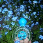 عطر ادکلن گولوبایا نِزابونکا سیورنو سییانیه - Голубая незабудка Северное сияние - بررسی، قیمت و خرید