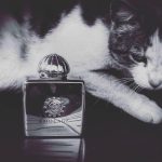عطر ادکلن گلد وومن آمواج - Gold Woman Amouage - بررسی، قیمت و خرید