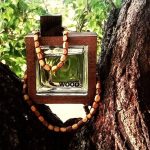 عطر ادکلن هی وود راکی ماونتین وود دی‌اس‌کوارد - He Wood Rocky Mountain Wood DSQUARED² - بررسی، قیمت و خرید