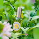 عطر ادکلن انگلیش لوندر اتکینسونز - English Lavender Atkinsons - بررسی، قیمت و خرید