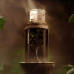عطر ادکلن سنیسا د کوکا فووگیا ۱۸۳۳ - Ceniza De Coca Fueguia 1833 - بررسی، قیمت و خرید