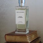 عطر ادکلن اینتیمت وایت فلاورز آنجل شلسر - Intimate White Flowers Angel Schlesser - بررسی، قیمت و خرید