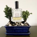 عطر ادکلن آرسو پروفیوم روم - Arso Profumum Roma - بررسی، قیمت و خرید