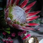 عطر ادکلن اسنس رر هوپگانت - Essence Rare Houbigant - بررسی، قیمت و خرید