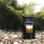 عطر ادکلن پچولی ابسولو تام فورد - Patchouli Absolu Tom Ford - بررسی، قیمت و خرید