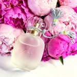 عطر ادکلن مون امی لا روز له پارفوم دو روزین - Mon Amie La Rose Les Parfums de Rosine - بررسی، قیمت و خرید