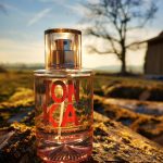 عطر ادکلن تانکا سولینوتس - Tonka Solinotes - بررسی، قیمت و خرید