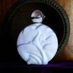 عطر ادکلن آناهیس آناهیس پرفیوم کنسانتره کاچارل - Anais Anais Parfum Concentree Cacharel - بررسی، قیمت و خرید