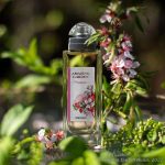 عطر ادکلن فلوراریوم بروکارد - Florarium Brocard - بررسی، قیمت و خرید