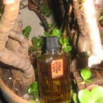 عطر ادکلن آنتیج دزینتارس - Antejs (Антей) Dzintars - بررسی، قیمت و خرید