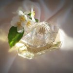 عطر ادکلن اکلا اکسترنل آی دی پرفیومز - Eclat Eternel ID Parfums - بررسی، قیمت و خرید