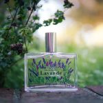 عطر ادکلن لاواند فراگنارد - Lavande Fragonard - بررسی، قیمت و خرید