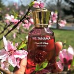 عطر ادکلن ریس تنما رینیه پرفیومز - Ris Tanama Renier Perfumes - بررسی، قیمت و خرید