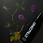 عطر ادکلن امبرمیلک کریزی‌پیلز - Ambermilk Crazypills - بررسی، قیمت و خرید