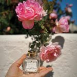 عطر ادکلن رزا گاردنیا سانتا ماریا نوولا - Rosa Gardenia Santa Maria Novella - بررسی، قیمت و خرید
