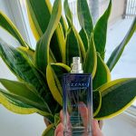 عطر ادکلن سولاریسیمو مارتیمو زرو - Solarissimo Marettimo Azzaro - بررسی، قیمت و خرید