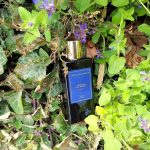 عطر ادکلن دیپ لدر آنجل شلسر - Deep Leather Angel Schlesser - بررسی، قیمت و خرید