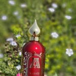 عطر ادکلن حیاتی عطار کالکشن - Hayati Attar Collection - بررسی، قیمت و خرید