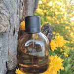 عطر ادکلن سنت زارا - Scent #1 Zara - بررسی، قیمت و خرید