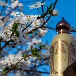 عطر ادکلن فلور د سَنتَل عطار کالکشن - Fleur de Santal Attar Collection - بررسی، قیمت و خرید