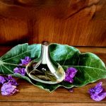 عطر ادکلن آیدیل لاو بلاسوم گرلن - Idylle Love Blossom Guerlain - بررسی، قیمت و خرید
