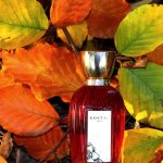 عطر ادکلن رُز پَمپُن اُ دو پارفَم ۲۰۲۰ گوتال - Rose Pompon Eau de Parfum 2020 Goutal - بررسی، قیمت و خرید
