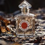 عطر ادکلن لینیشیال او دو پارفوم گرلن - L'Initial Eau de Parfum Guerlain - بررسی، قیمت و خرید