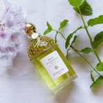 عطر ادکلن نرولیا وتیور هاروست گرلن - Nerolia Vetiver Harvest Guerlain - بررسی، قیمت و خرید