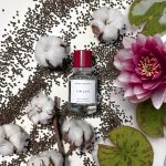 عطر ادکلن فیلسیو بیورک اند بریز - Fjällsjö Bjork and Berries - بررسی، قیمت و خرید