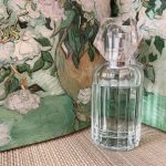 عطر ادکلن ای ای او بی ترو آمریکن ایگل - AEO Be True American Eagle - بررسی، قیمت و خرید
