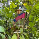 عطر ادکلن تری جوردن چارلز ژوردن - Tres Jourdan Charles Jourdan - بررسی، قیمت و خرید