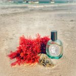عطر ادکلن دو سون لیمیتد ادیشن دیپتیک - Do Son Limited Edition Diptyque - بررسی، قیمت و خرید
