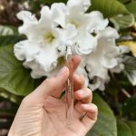 عطر ادکلن مگنولیا آلبا کلوئی - Magnolia Alba Chloé - بررسی، قیمت و خرید