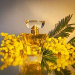 عطر ادکلن پوام لانکوم - Poeme Lancôme - بررسی، قیمت و خرید
