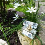 عطر ادکلن ا مارج آو جاسمین اند تیوبروس اِیوِن - A Marriage Of Jasmine & Tuberose Avon - بررسی، قیمت و خرید